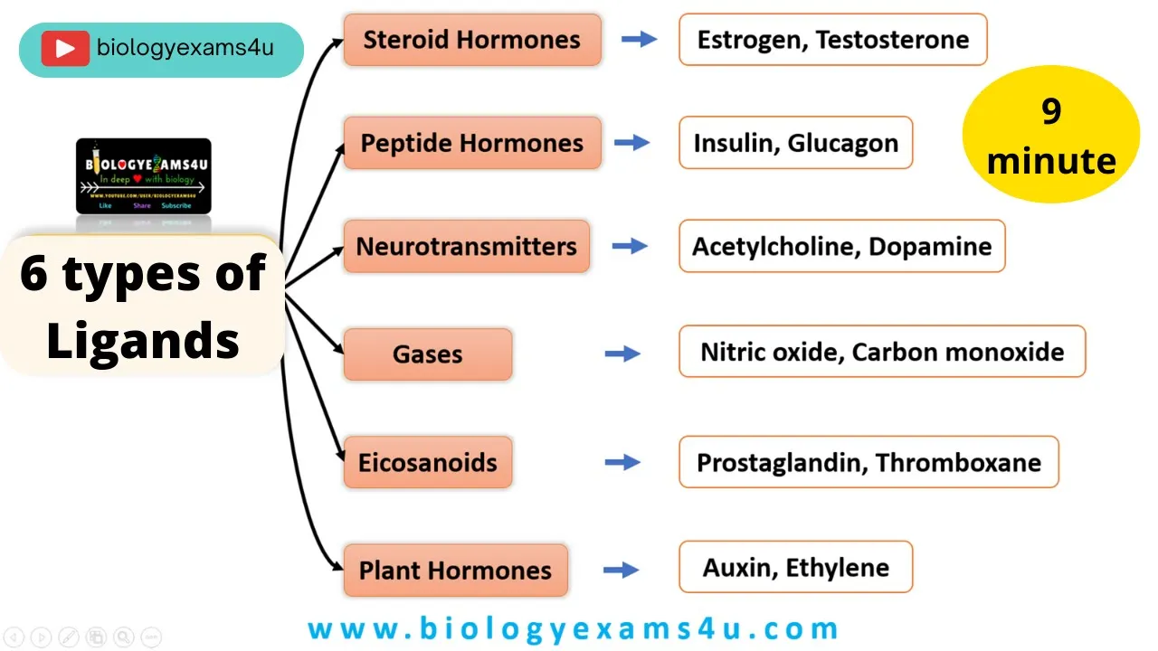 What are Ligands? 6 Types of Ligands or Signaling molecules in Cell Signaling