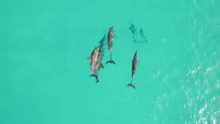 Sailing Maldives – Haa Alif & Ihavandhippolhu Atoll