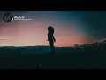 Unknown Brain - Why Do I? (feat. Bri Tolani) (Lyrics Video)