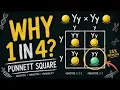How to Read a Punnett Square Genetics Homework Help