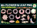 FLOWER PNG DOWNLOAD FREE FLOWER LEAF PNG DOWNLOAD FREE FLOWER PNG DOWNLOAD