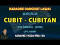 Download Lagu Cubit cubitan karaoke Koes Plus pop melayu dangdut nada pria Bm