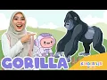 Download Lagu Gorilla - Lagu Anak dan Balita Indonesia | Original Song - Kinderflix Music