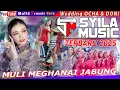 Download Lagu SYILA MUSIK  TERBARU 2025 LIVE JABUNG////WEDDING OCHA \u0026 DONI//Musik Lepas Bersama MULI MEGHANAI