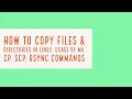 How to copy files directories in Linux Usage of Rsync command Linux Basic commands tutorial