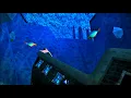 Super Mario 64 Ambience Music Sunken Ship on Jolly Roger Bay ASMR Sleep 1 hour