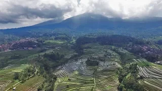 Tropical Island Nature Views with Relaxing Meditation Music – Bali & Phuket