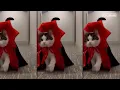Pretty Girls Walk X Shila ki Jawani - VDJ Shaan - Mashup - Instagram Trending