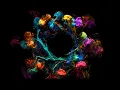 Download Lagu Synesthesia - Full Album Experiential Instrumental Music