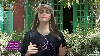 الفنانه اميره خالد زهره الوادي شتوات 