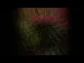 Morcheeba - Trigger Hippie - 432Hz  HD (lyrics in description)
