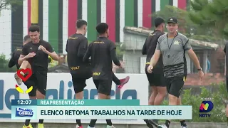 Desafio à vista: Criciúma encara o Palmeiras em busca de manter a boa fase