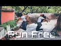 Download Lagu Run Free Dance Cover