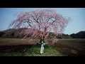 Tsubaki Kohjiya - PAGE ONE