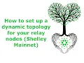 How to set up a dynamic topology for your relay nodes Shelley Mainnet