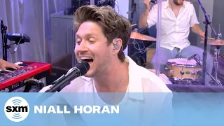 niall horan something in the orange zach bryan cover live siriusxm 
