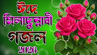 ঈদে মিলাদুন্নাবী ﷺ এর সেরা গজল ২০২৬ 🌹 ১২ই রবিউল আউয়াল 🌹 Notun Gojol 2026 🌹