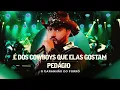 Download Lagu É dos Cowboys que elas Gostam / Pedágio - O Garanhão Do forró 