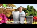 Algreen Mosaic 16x14 H Planter Pots