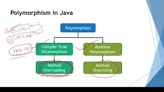 L-10 Polymorphism Bangla Java Tutorial