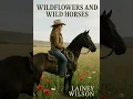 Wildflowers and Wild Horses - Lainey Wilson