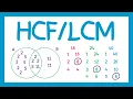 - GCSE Maths