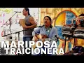 Download Lagu INKA GOLD - MARIPOSA TRAICIONERA cover (Maná) @inkagoldmusic