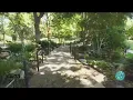 Grapevine Botanical Garden at Heritage Park