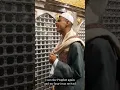 Lagu Sheikh Ahmed Shukhaibi - Ya Qurratul Aynee, Ya Jaddal Hasnaini (sawa) (Eng Subtitles)