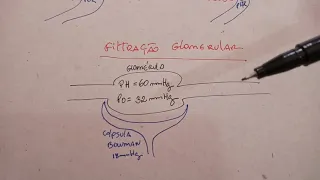 Biofísica Renal - Força de Starling - Resumo CBIO