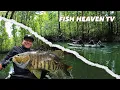 Download Lagu Kayak Fishing for Papuan Spot Tail Bass on a Remote Island in West Papua, Indonesia | 2025