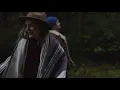 Download Lagu Ocie Elliott - Forest Floor (Official Music Video)