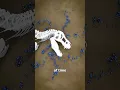 Download Lagu How Fossilization Works 🤔