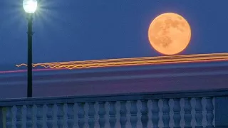 للشيخ محمود الشحات انور ماتيسر له من المؤمنون والفجر بواسطة احمد الهلالي 