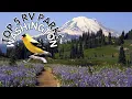 Top 5 RV Parks In Washington State