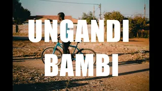 ungandi bambi mellow u0026 sleazy x busta 929 x mr jazziq type beat i amapiano beats prod fibbs 