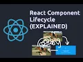 React Component Lifecycle EXPLAINED