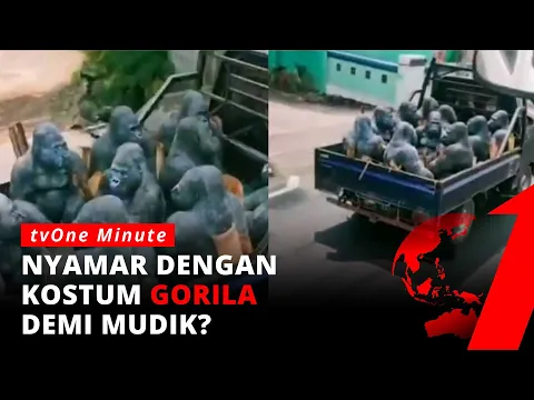 Viral Pemudik Nyamar Jadi Gorila Untuk Kelabui Petugas, Ini Faktanya | tvOne Minute