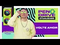 Download Lagu Japãozin - Volte Amor