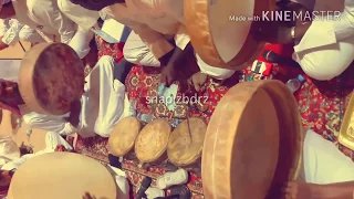 زير بيشه فرقة حلمي طرب 