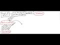 Coord Geom - Identifying Quadrilaterals Flow Chart