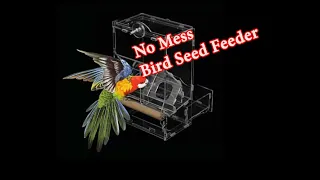 no mess acrylic bird seed feeder for finches and small parakeets diy