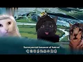 Download Lagu Crafting Immortal Gu With Paws! 🐾 | Epic Cat Version of Reverend Insanity's River Scene