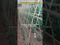 Download Lagu Tiga Model Lanjaran (Para-Para) Untuk Tanaman Merambat dengan Biaya Murah#shorts