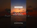 Download Lagu A short video about Human resilience
