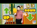 Up Down Learn Sight Words