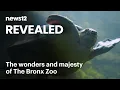 The Bronx Zoo - The largest urban zoo in the United States