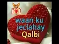 Download Lagu Rajada Runta Mar Beey Rumoowdaa  heestaan aan dunida ugu jeclahay