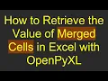 How to Retrieve the Value of Merged Cells in Excel with OpenPyXL