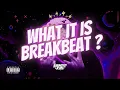 Download Lagu DJ BREAKBEAT TERBARU 2023 FULL BASS | WHAT IT IS VIRAL TIKTOK